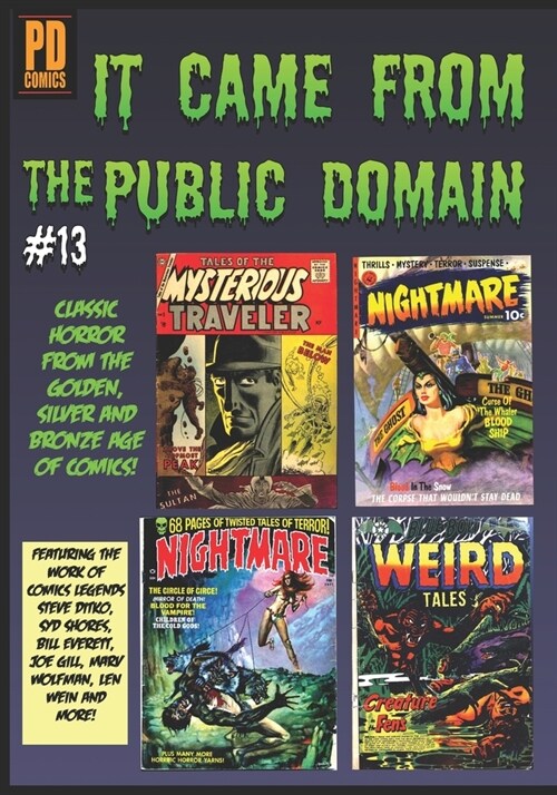 It Came From the Public Domain #13 (Paperback)