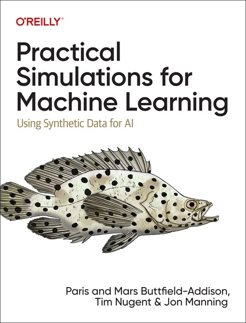 Practical Simulations for Machine Learning: Using Synthetic Data for AI (Paperback)