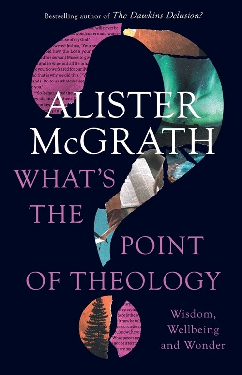 Whats the Point of Theology? : Wisdom, Wellbeing and Wonder (Paperback)