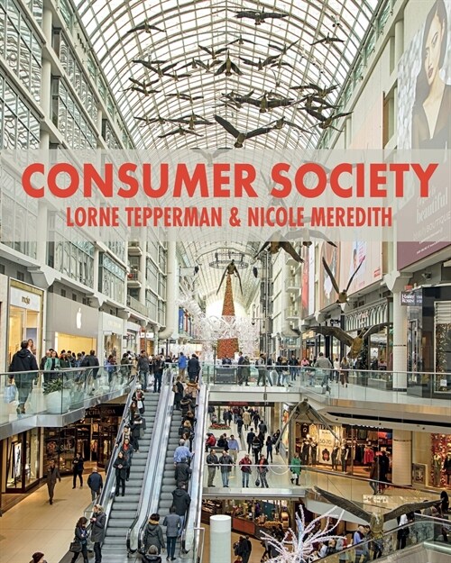 Consumer Society (Paperback)