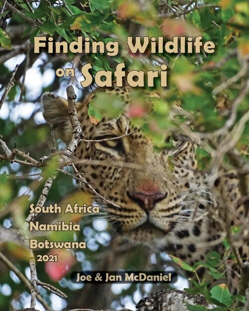 Finding Wildlife On Safari (Paperback)