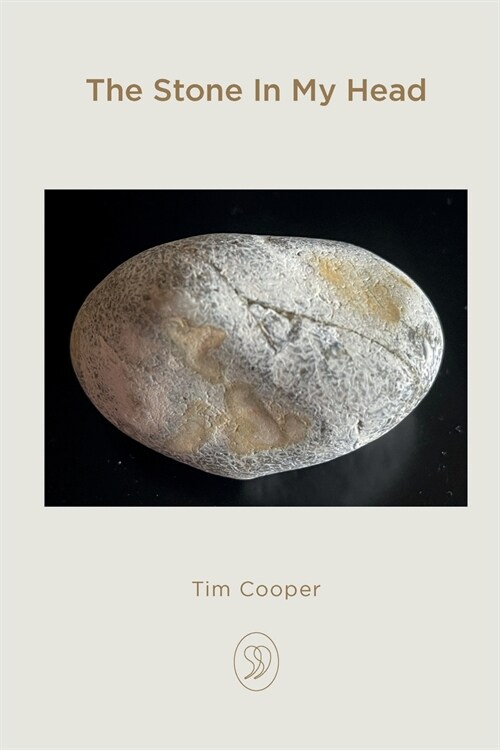 The Stone In My Head (Paperback)