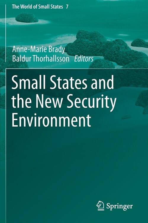 Small States and the New Security Environment (Paperback)