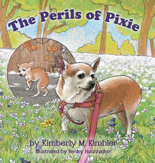 The Perils of Pixie (Hardcover)