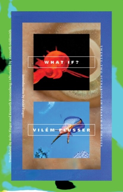 What If?: Twenty-Two Scenarios in Search of Images (Paperback)