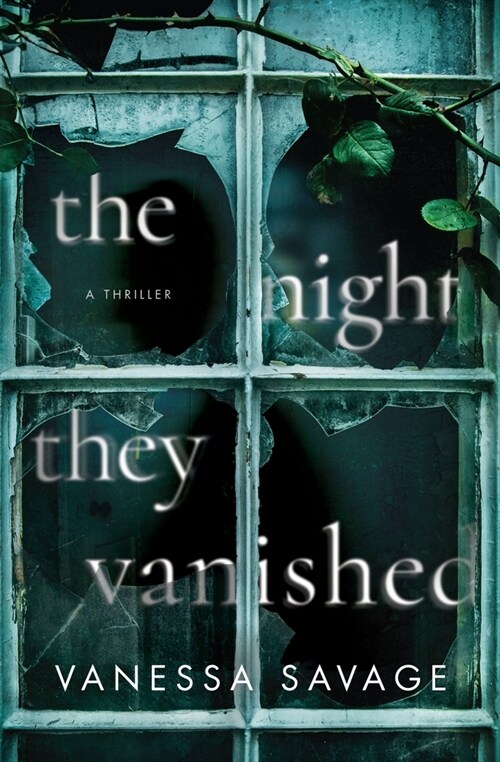 The Night They Vanished (Paperback)