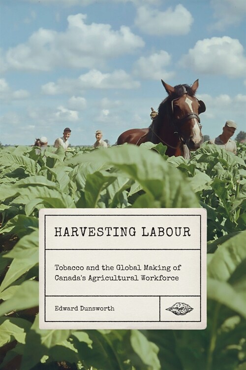 Harvesting Labour: Tobacco and the Global Making of Canadas Agricultural Workforce Volume 12 (Hardcover)