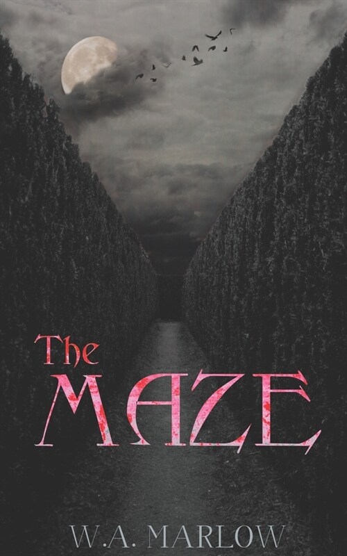 The Maze: Love Lost (Paperback)