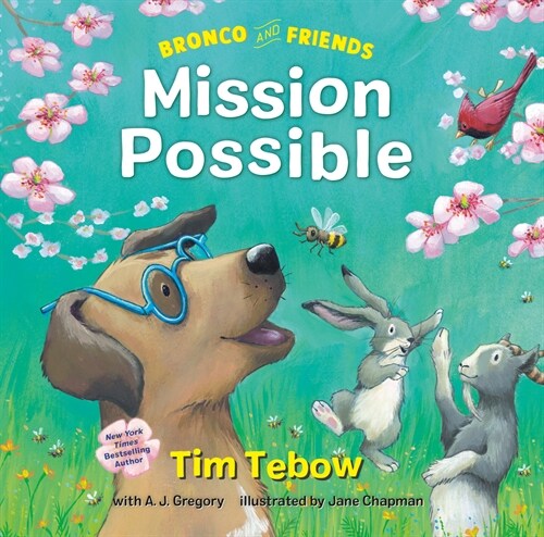 Bronco and Friends: Mission Possible (Hardcover)
