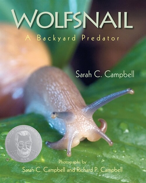 Wolfsnail: A Backyard Predator (Paperback)