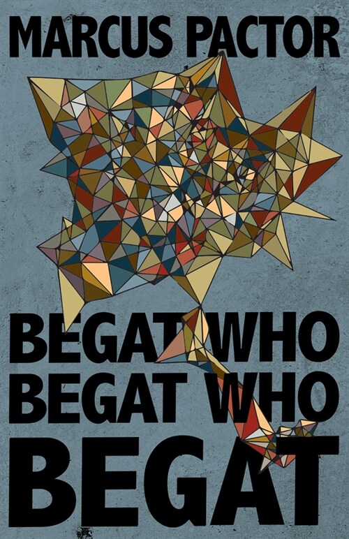 Begat Who Begat Who Begat (Paperback)