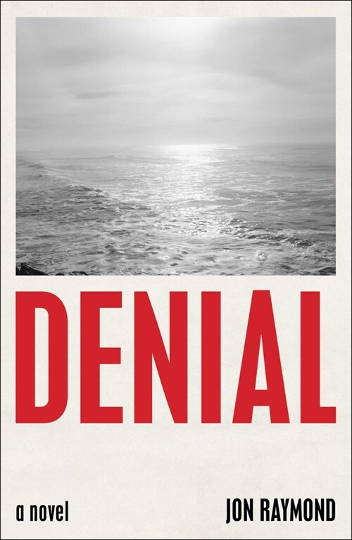 Denial (Hardcover)