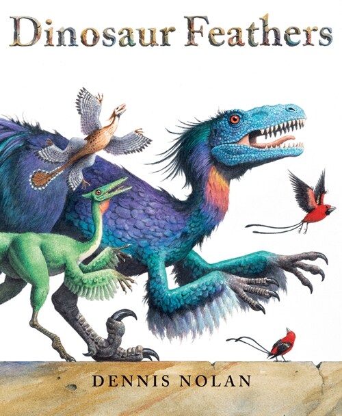 Dinosaur Feathers (Paperback)