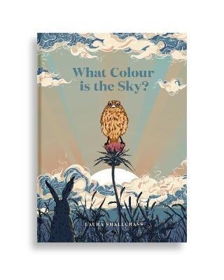 What Colour Is The Sky? (Hardcover)