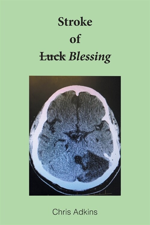 Stroke of Blessing (Paperback)