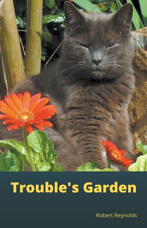 Troubles Garden (Paperback)