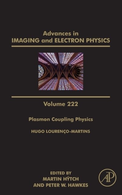 Plasmon Coupling Physics (Hardcover)