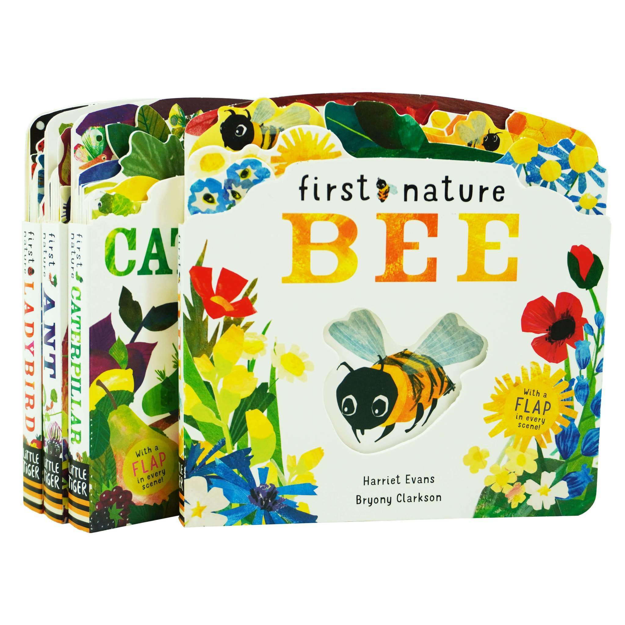 First Nature 4 Books Childrens Collection Set (Board Book 4권)