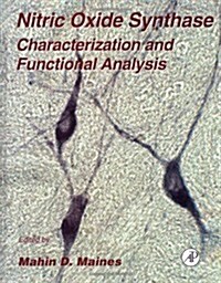 Nitric Oxide Synthase: Characterization and Functional Analysis: Volume 31 (Hardcover)