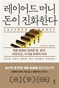 레이어드 머니 돈이 진화한다 :계층 화폐로 살펴본 금, 달러, 비트코인, 디지털 화폐의 미래 