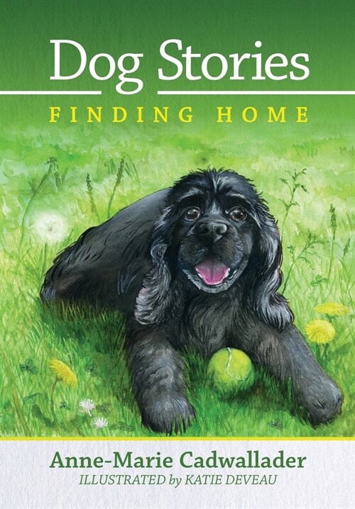 Dog Stories Finding Home (Hardcover)