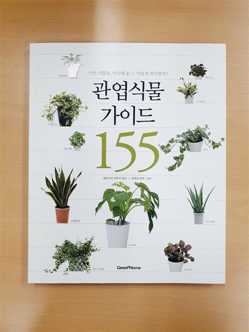 [중고] 관엽식물 가이드 155