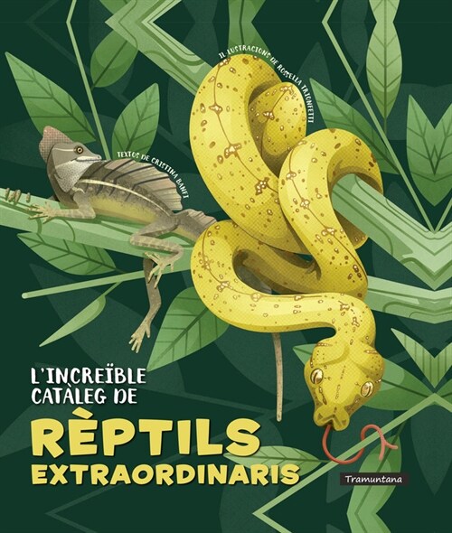 LINCREIBLE CATALEG DE REPTILS EXTRAORDINARIS (Paperback)