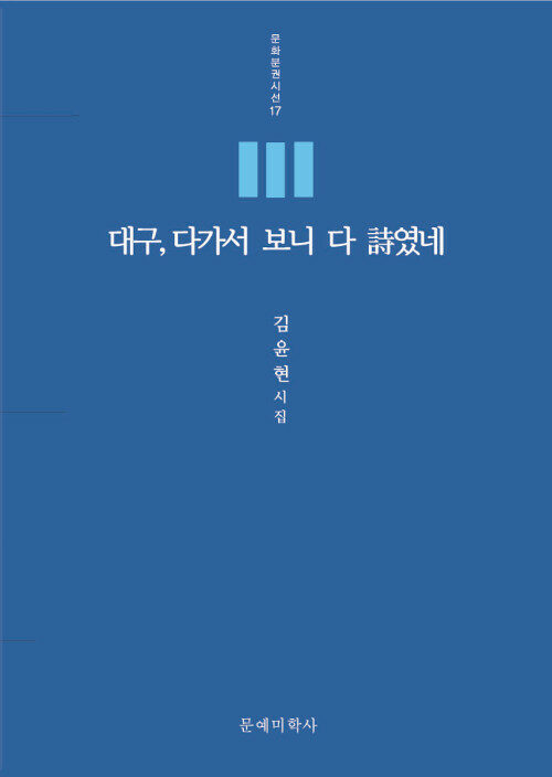 대구, 다가서 보니 다 詩였네