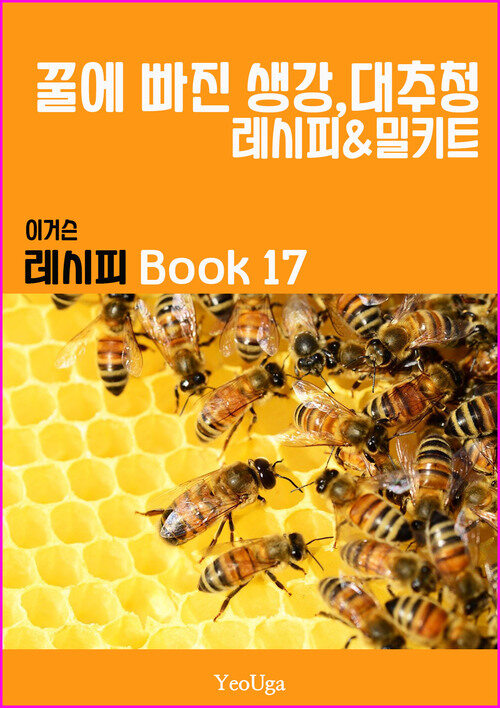 이거슨 레시피 BOOK 17