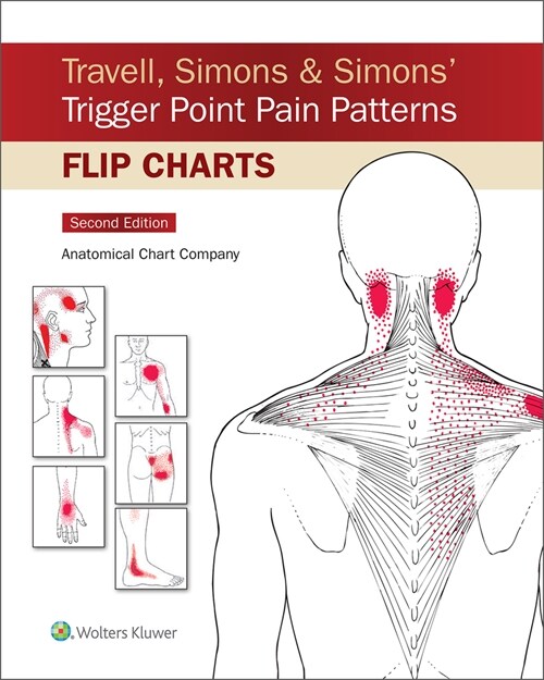 Travell, Simons & Simons Trigger Point Pain Patterns Flip Charts (Paperback, 2)