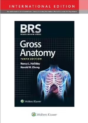 BRS Gross Anatomy, International Edition (Board Review Series) (Paperback, International Edition, 10th)