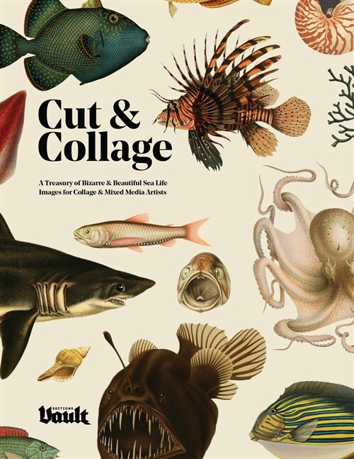 Cut and Collage (Paperback)