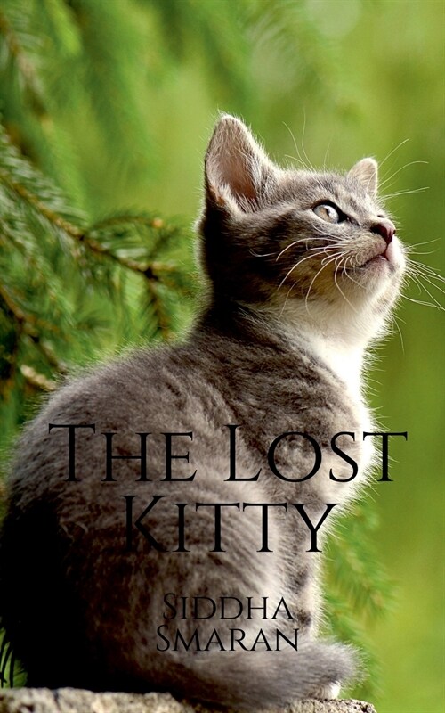 The Lost Kitty (Paperback)
