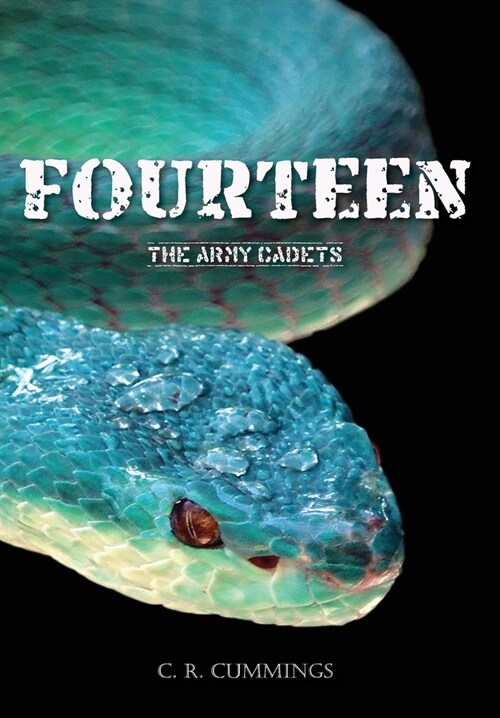 Fourteen (Hardcover)