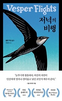 저녁의 비행 