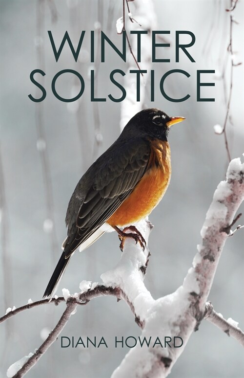 Winter Solstice (Paperback)