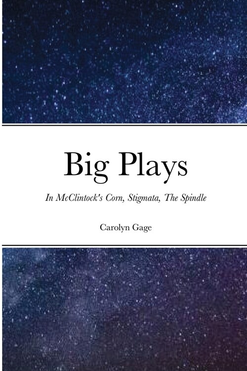 Big Plays (Paperback)