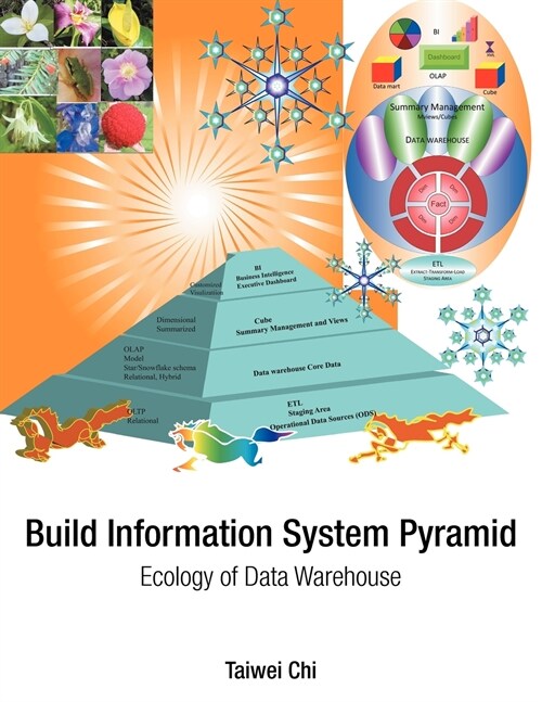 Build Information System Pyramid: Ecology of Data Warehouse (Paperback)