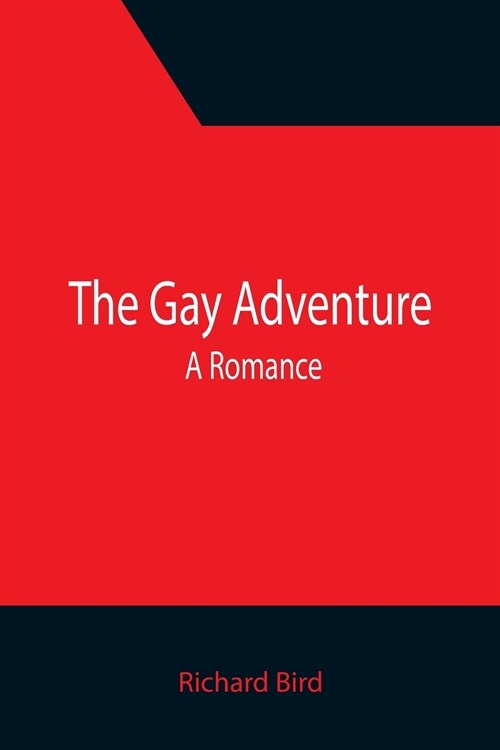 The Gay Adventure: A Romance (Paperback)