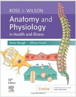 Ross & Wilson Anatomy and Physiology in Health and Illness (Paperback, 14)
