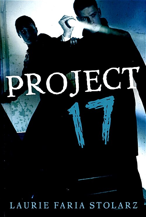 Project 17 (Paperback)