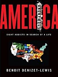 America Anonymous: Eight Addicts in Search of a Life (Audio CD, Library)