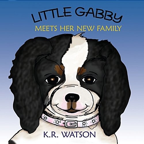 Little Gabby Meets Her New Family (Paperback)