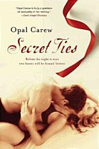 Secret Ties (Paperback)