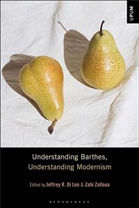 Understanding Barthes, understanding modernism