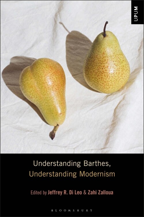 Understanding Barthes, Understanding Modernism (Hardcover)