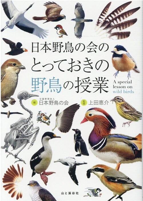 日本野鳥の會のとっておきの野鳥の授業