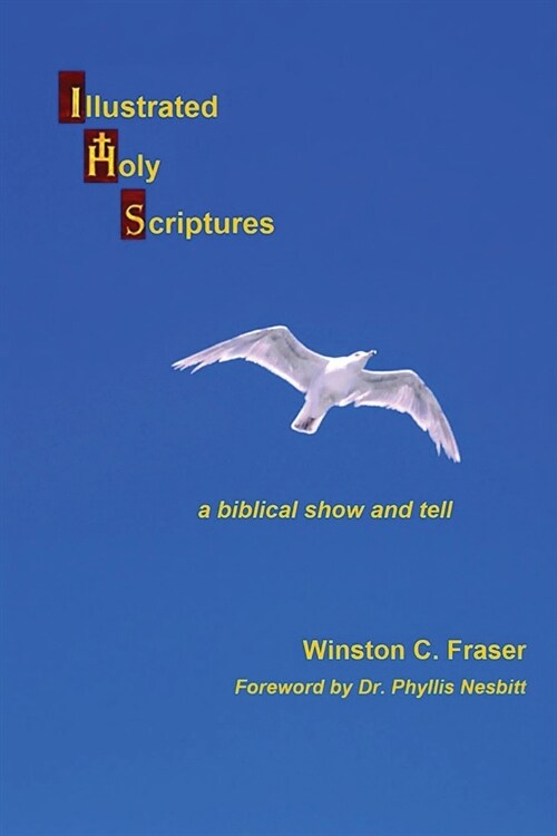 Illustrated Holy Scriptures - a biblical show and tell (Paperback)