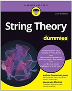 String Theory for Dummies (Paperback, 2)