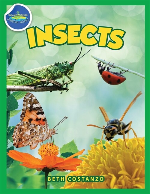 Bugs in My Backyard for Kids: Storybook, Insect Facts, and Activities (Lets Learn About Bugs and Animals) (Paperback)